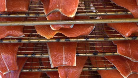 Salmon-filets-in-layers-side-by-side-on-grating-screen-coming-directly-from-the-smoker---Close-up