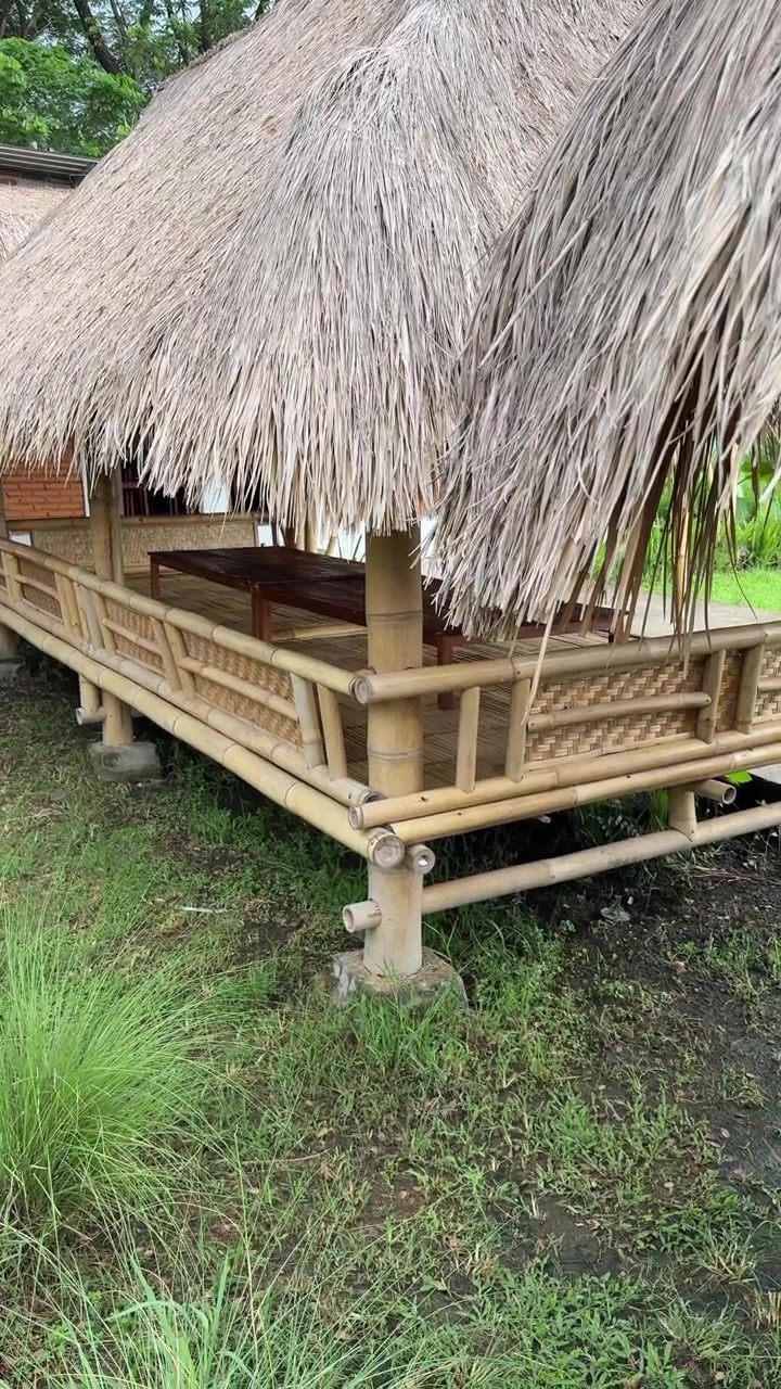 Gubuk Bambu Tradisional dengan Atap Jerami di Taman Hijau yang Rimbun.