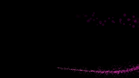 animación de ensayos de luz rosada brillante con espacio de copia en fondo negro