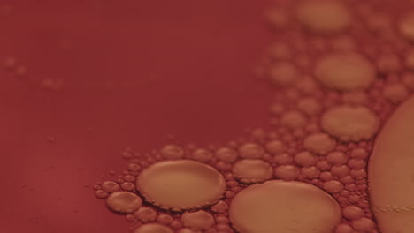 macro close up shot of small bubbles moving on red surface