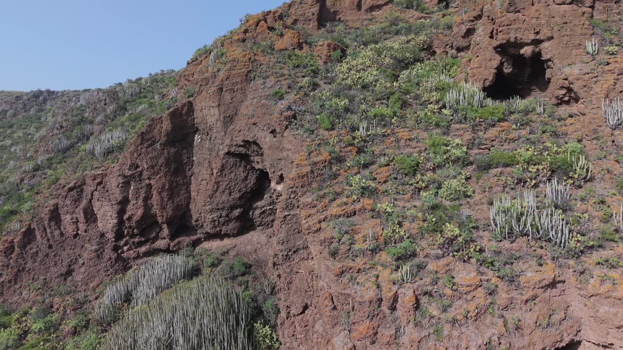 Formazioni rocciose vulcaniche con flora endemica in fiore a Gran Canaria, Isole Canarie.