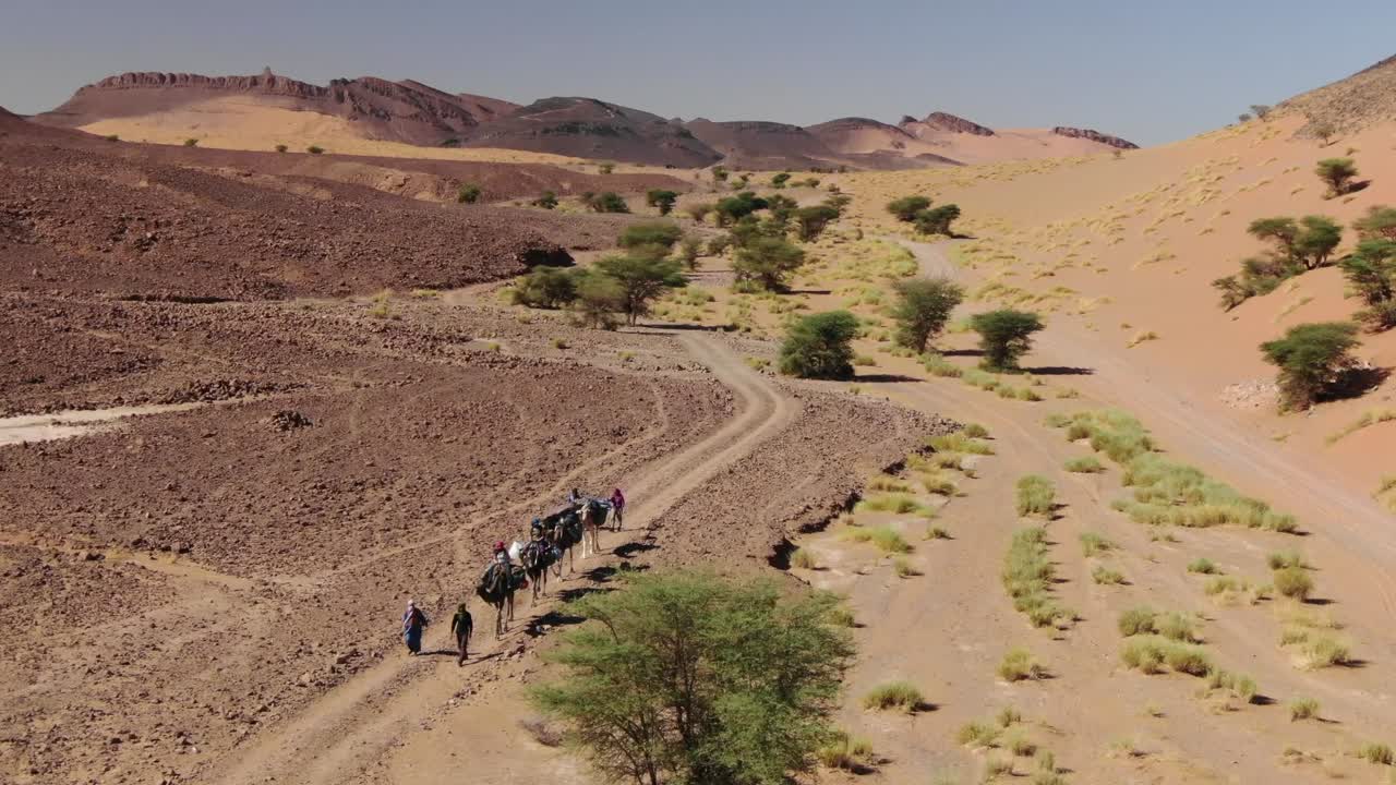 Vista aerea da drone di una carovana di cammelli e beduini in fila che camminano attraverso il deserto marocchino