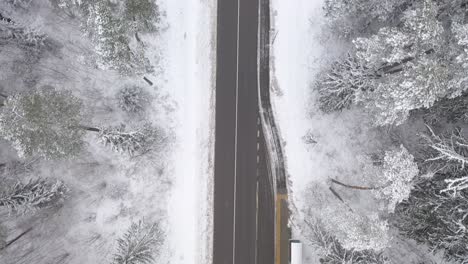 Drone-aerial-view-of-snowy-forest-and-countryside-road-in-Kaunas-county,-Lithuania