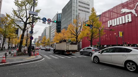 vehicles moving through a tree-lined city street.