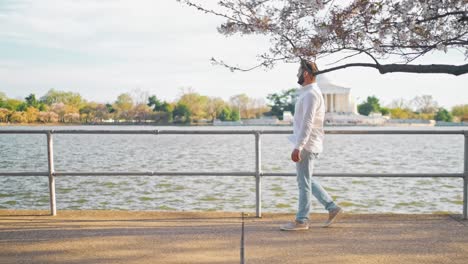 Man-walking-along-side-a-walkway-created-on-the-other-side-of-the-Thomas-jefferson-Memorial-during-the-cherry-blossom-festival-and-tidal-basin-and-national-mall