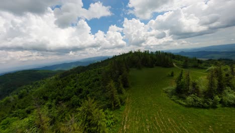 Wild-natural-landscape-with-forest-walkway-in-Poland,-aerial-view