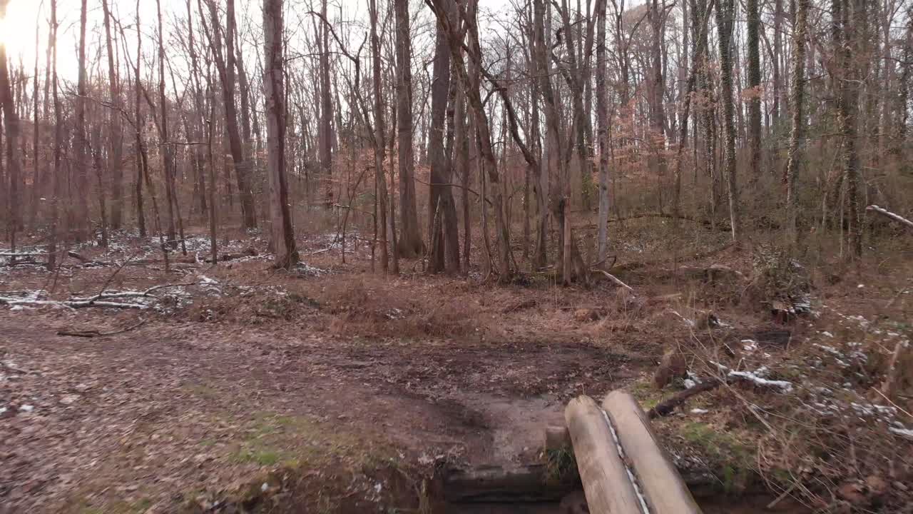 disparó sobre un arroyo y un sendero en el bosque
