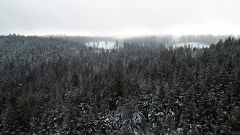 Starker-Schneefall-über-Dichten-Wäldern-In-Der-Region-Thompson-Nicola:-Drohnenschuss-Rückwärts