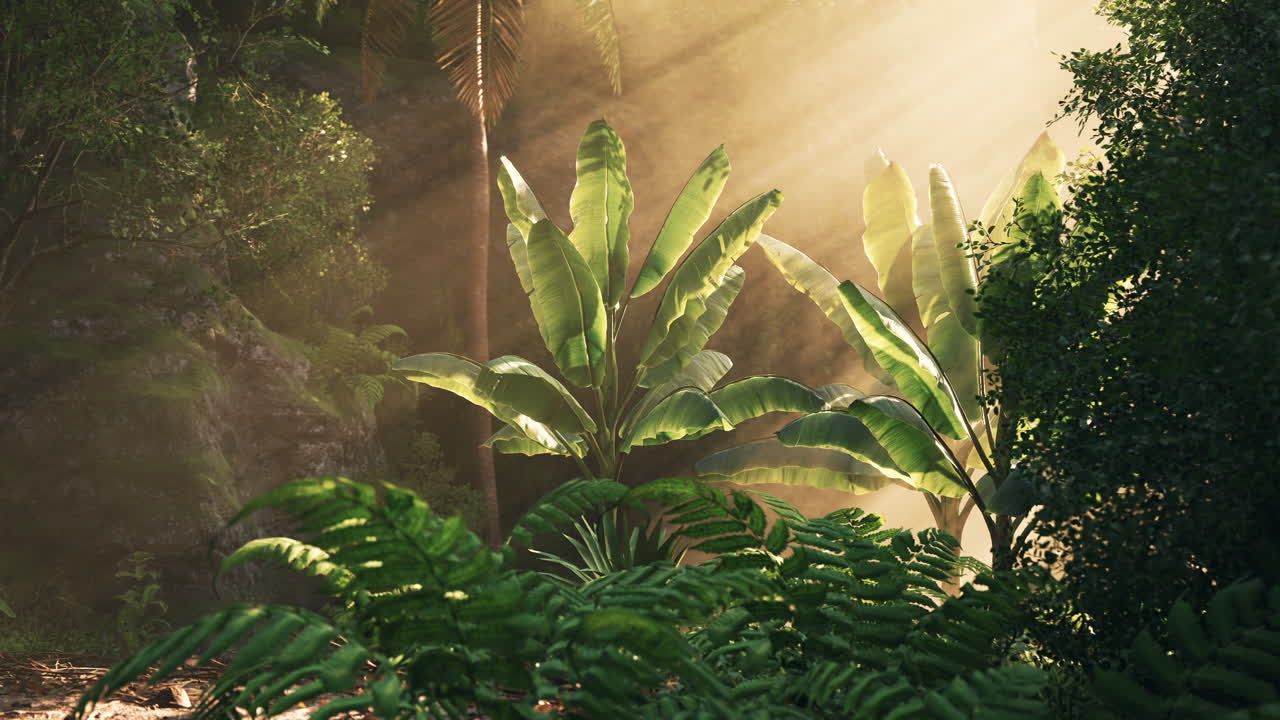 Sunlight filters through lush foliage in a vibrant tropical rainforest