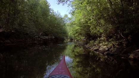 red kayak paddling down narrow overgrown river with dense tree foliage