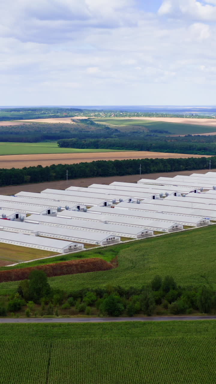 New farm on fields background. Modern agricultural buildings surrounded by green nature in summer. Aerial view. Vertical video