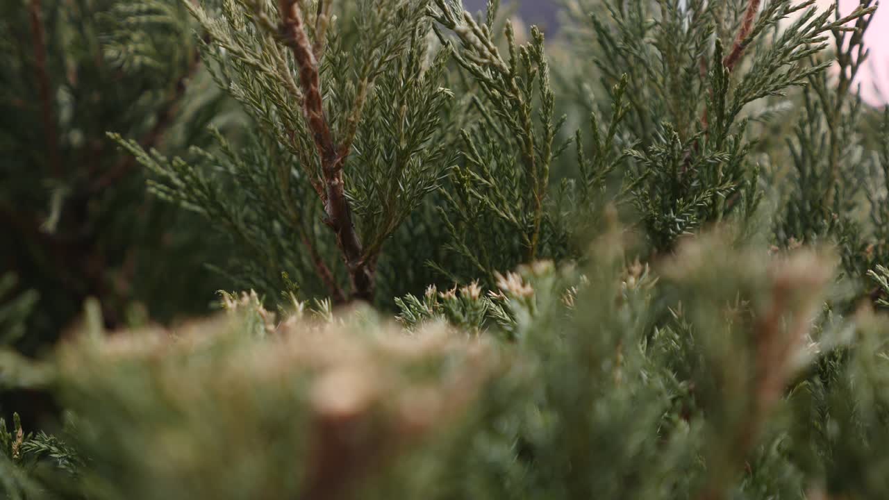 la gente camina por el camino charco en el fondo