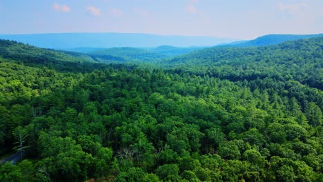 Aerial-drone-video-footage-of-a-coniferous-pine-forest-in-the-Catskill-Mountains-during-summer