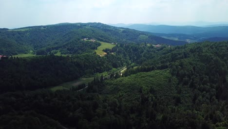 fotografía aérea de un paisaje de bosque de montaña verde