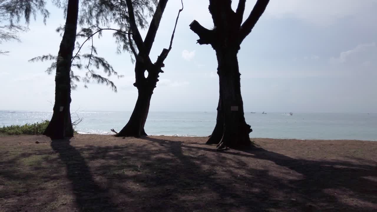 vista panorámica del parque verde cerca del mar con paisaje de playa de arena blanca en el soleado día de verano en phuket, tailandia, con pino marino en primer plano-4k uhd video