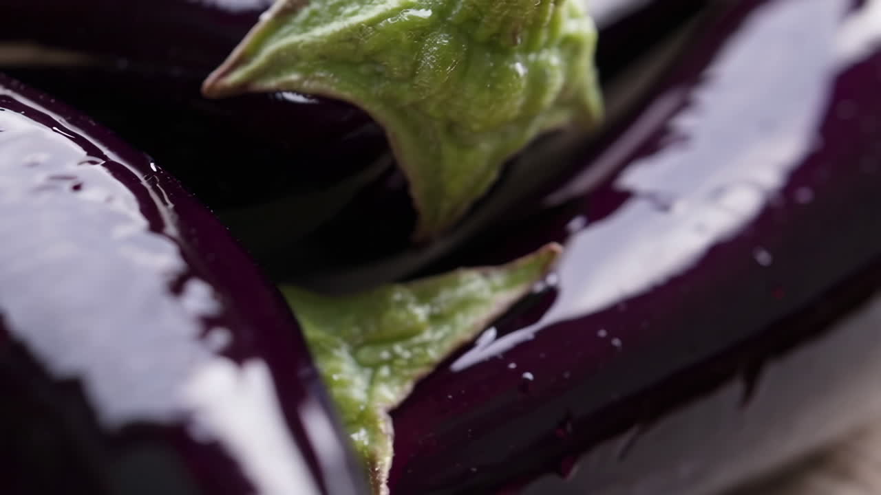 Close-up of Fresh Purple Eggplants with Water Droplets