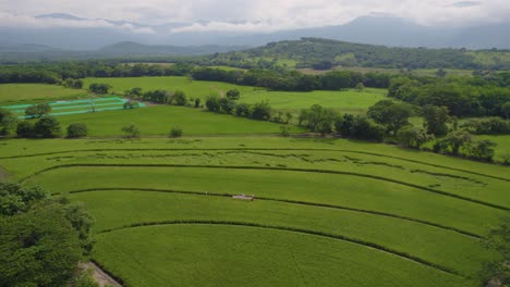 Toma-De-Drones-De-Campos-De-Arroz-En-América-Del-Sur.