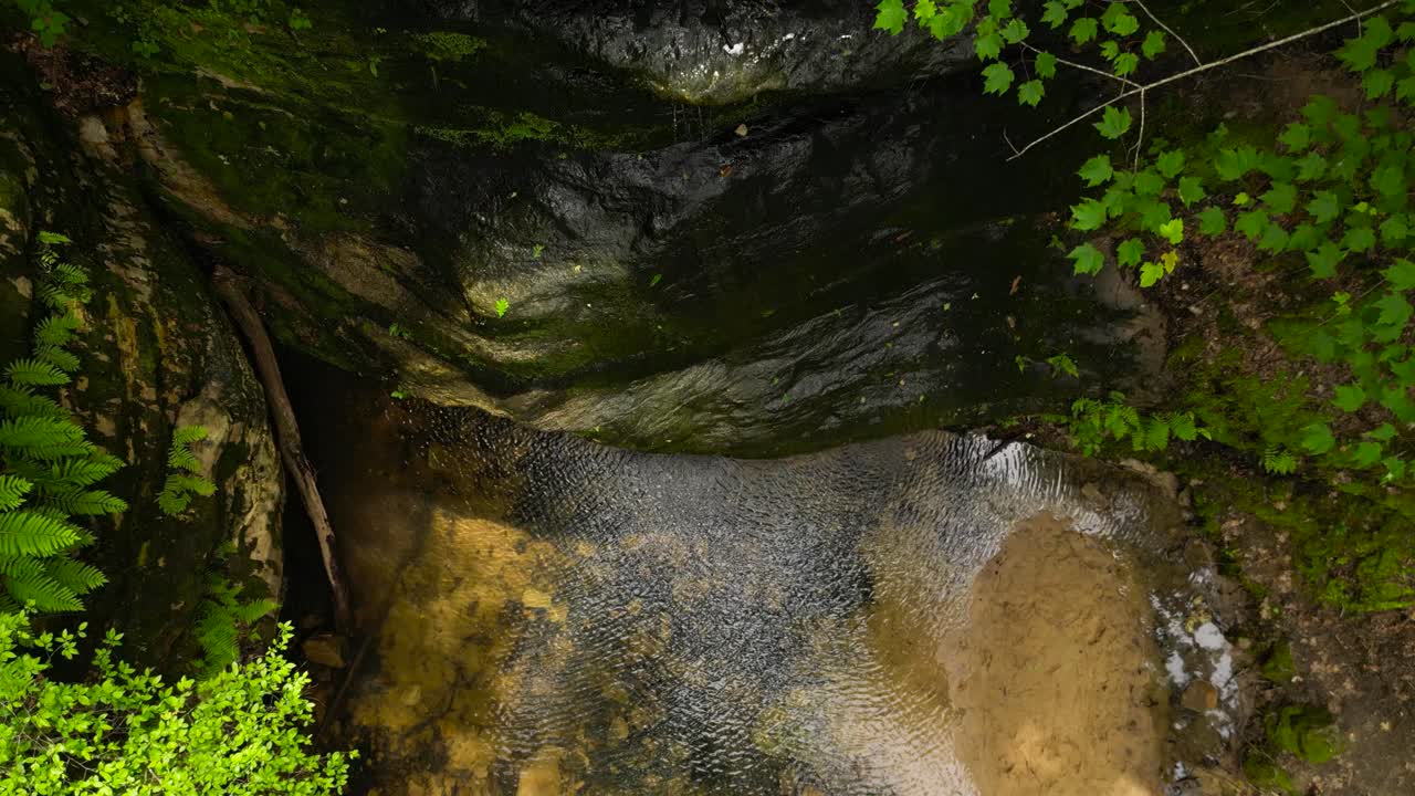 Overhead view looking down a lush canyon wall with water trickling down. Moss and ferns can be seen growing on the walls.