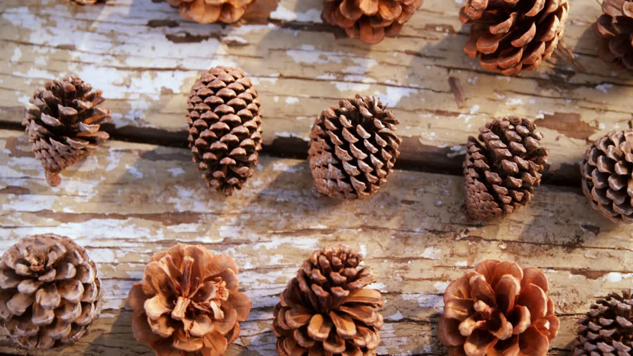 técnico de laboratório a analisar saco de sangue 4k