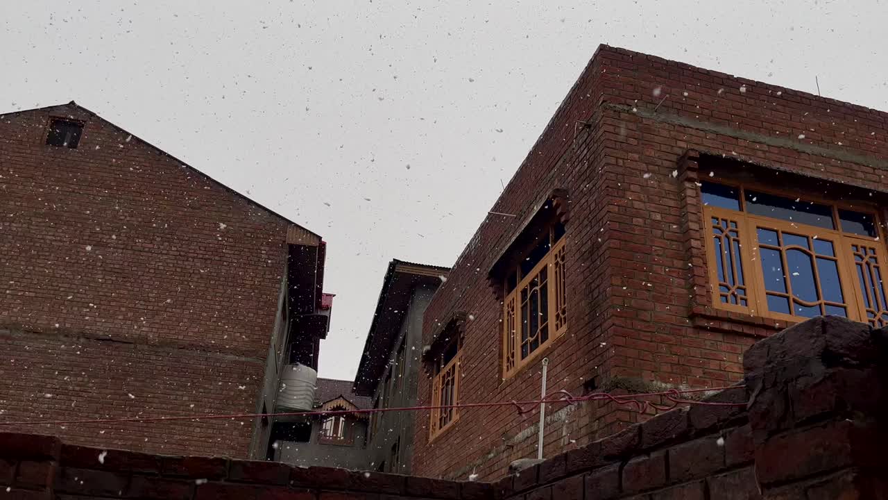 2024년의 매혹적인 아름다움을 탐구합니다.