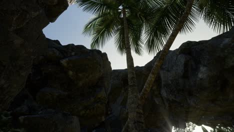 Große-Palmen-In-Einer-Steinhöhle-Mit-Sonnenstrahlen