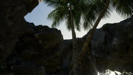 grandes palmeras en la cueva de piedra con rayos de luz solar