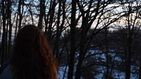 young-girl-with-beautiful-red-hair-illuminated-by-sunset's-light-while-watching-at-the-landscape