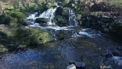 water in a creek in christieparken in bergen, norway