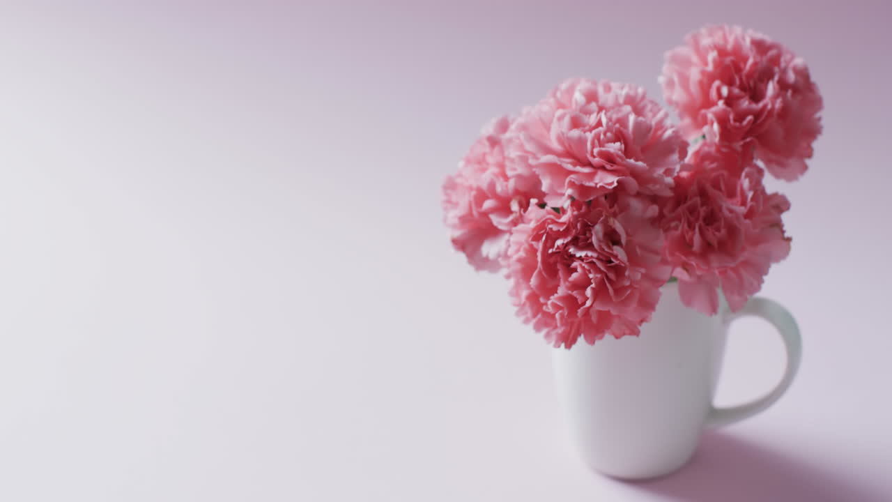 video de un ramo de flores rosadas en una taza blanca y copia el espacio en un fondo rosado