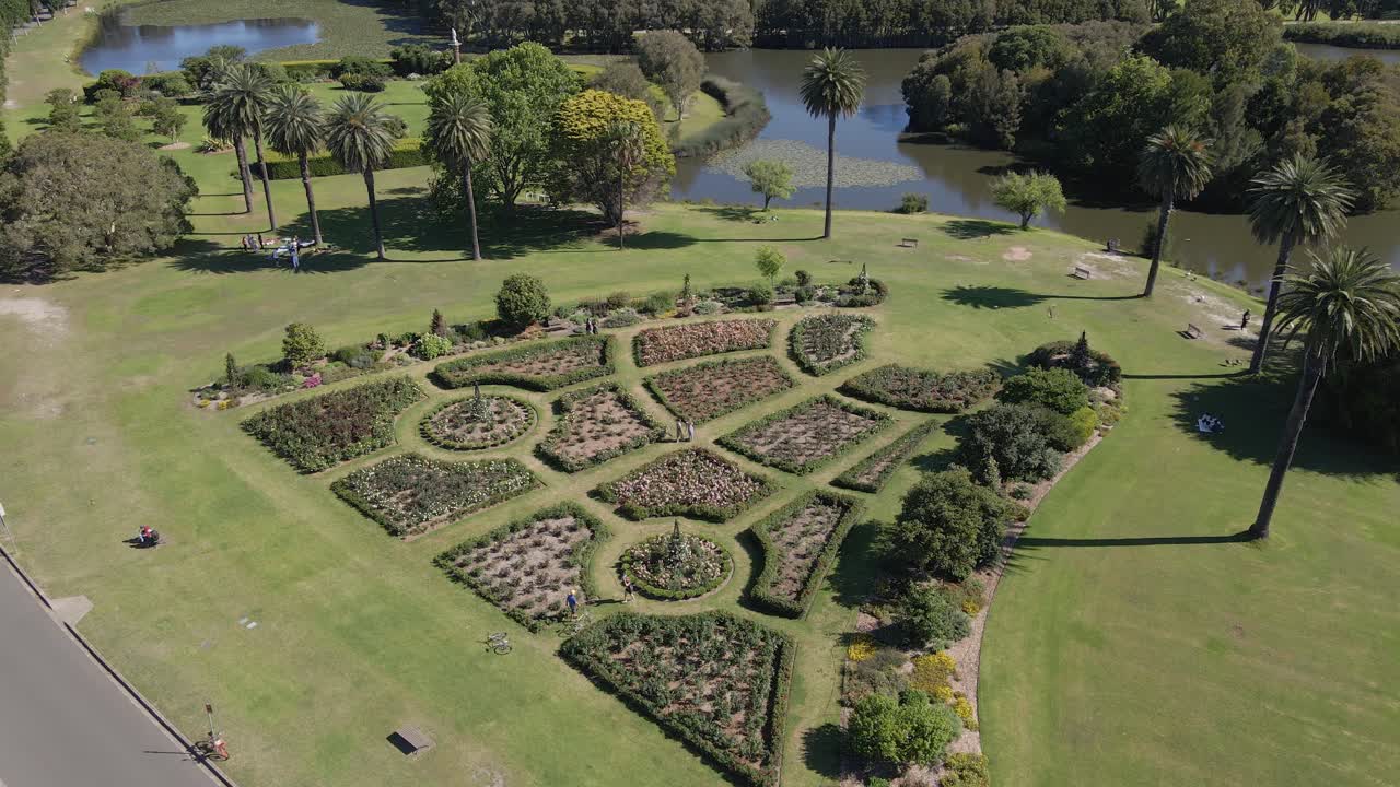 jardín de rosas a orillas del estanque busbys en verano - parque centenario, nueva gales del sur, australia