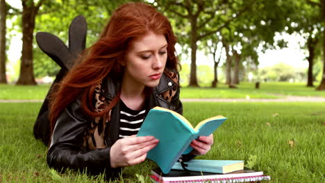 Bonita-Pelirroja-Leyendo-Un-Libro-En-El-Parque.