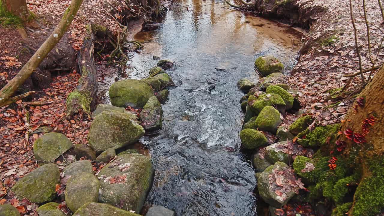 el río en el bosque de otoño y el sol brillando a través del follaje
