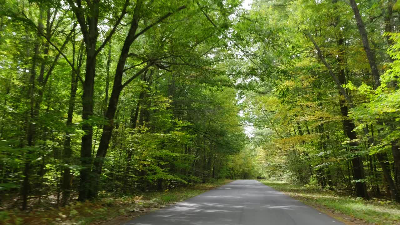 Smooth clip of driving along a wooded road in the early fall near Portsmouth, NH. There is sunshine and a light breeze rustling the yellow and green leaves.