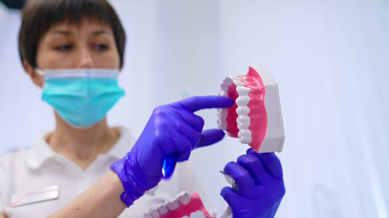 Jaw model in dentist's hands. Professional female stomatologist teaching teeth care treatment on a jaw mock in clinic. Close-up.