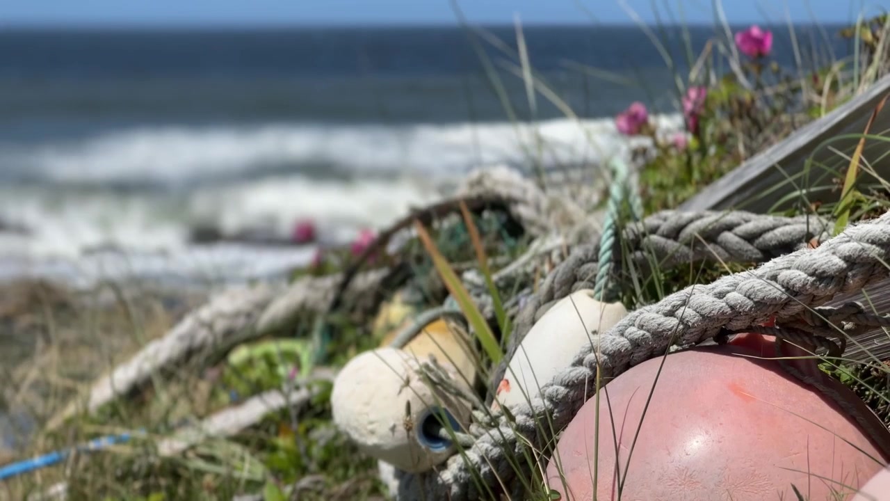 Verwittertes Seil kreuzt einen Holzzaun, dessen Knoten eine Auswahl an Schaumstoffschwimmern am Dünengras an der Küste Oregons verankern