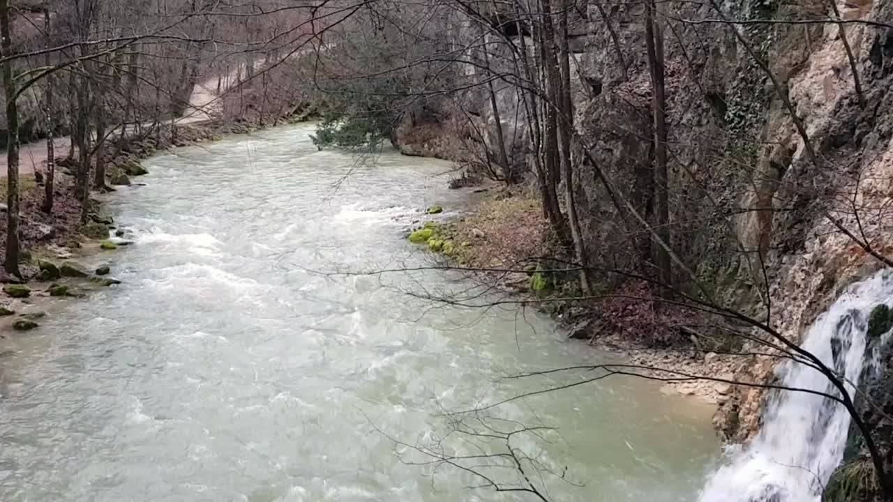 Serene Waterfall and River in a Lush Forest