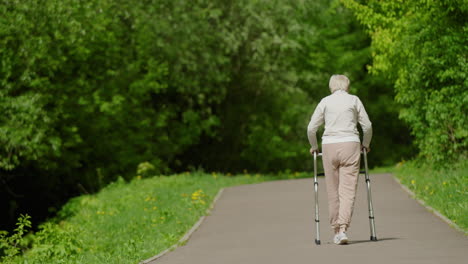 elderly woman walking in a park with a walker