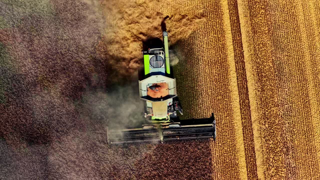 Vista aerea di una mietitrice che opera in un campo coltivato durante la stagione del raccolto