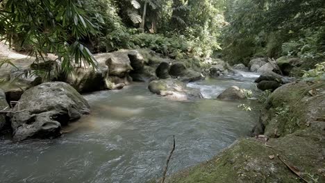 shallow rover flowing through a deep jungle valley