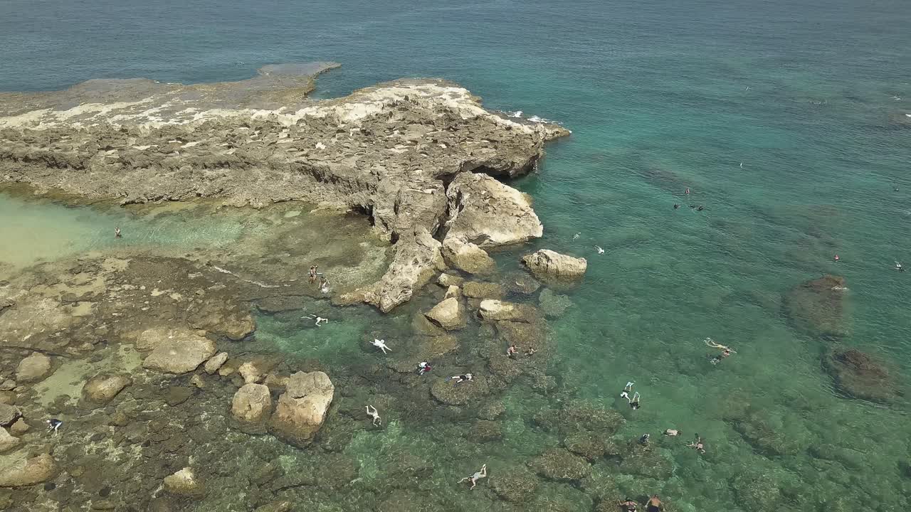 vista aérea de nadadores disfrutando del agua clara en sharks cove 2