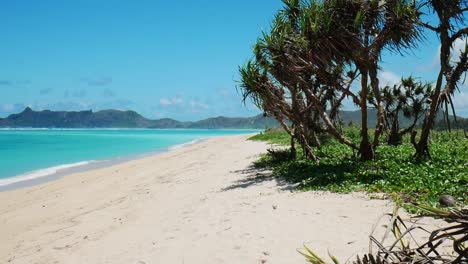 natural beach on lombok island indonesia. white sand and turquoise water inside the coral reef.