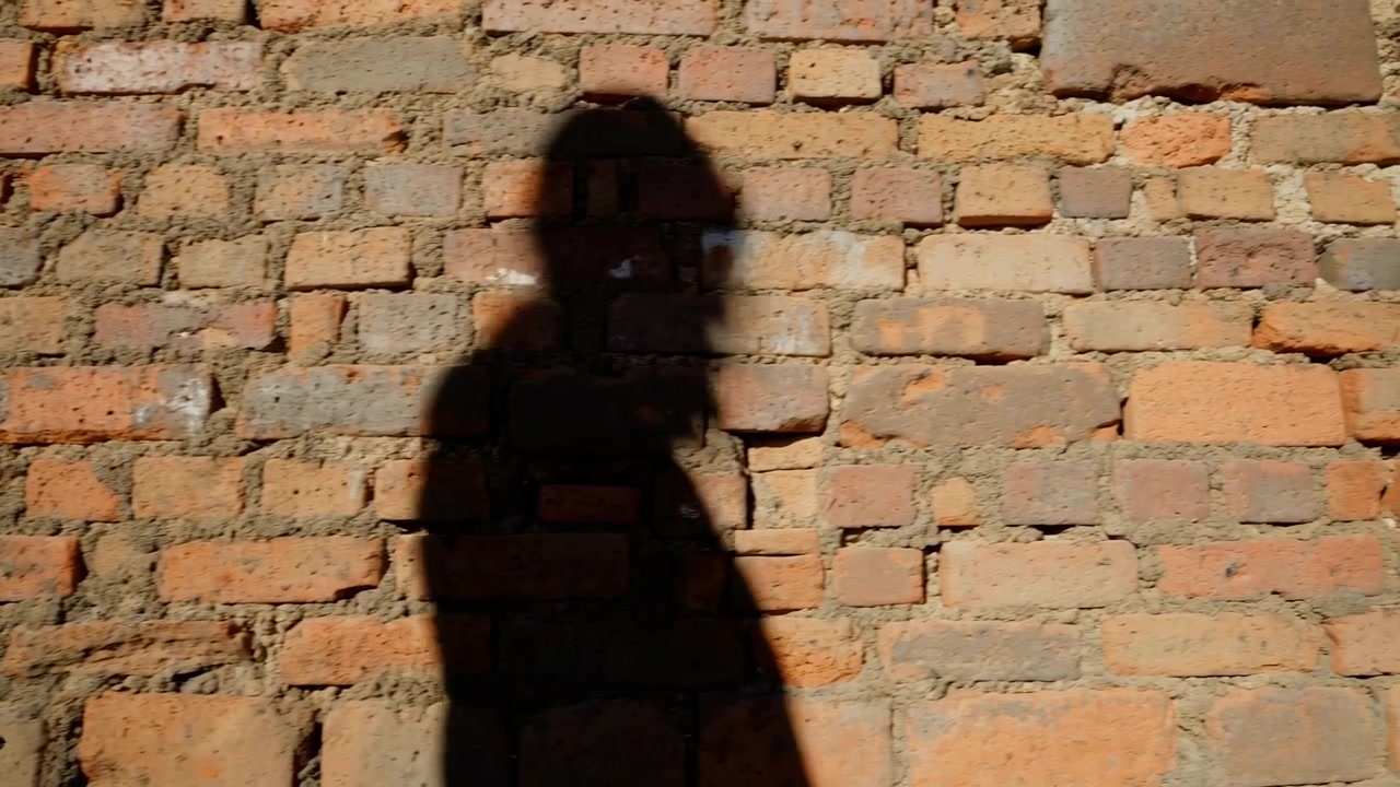 A dark human shadow falls across an old textured brick wall in bright directional sunlight, creating strong contrast and a minimal urban background with a
