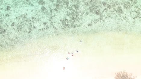 Aerial tilt up drone shot above a white sand beach, revealing the turquoise ocean, at Coron island, in Philippines, Asia