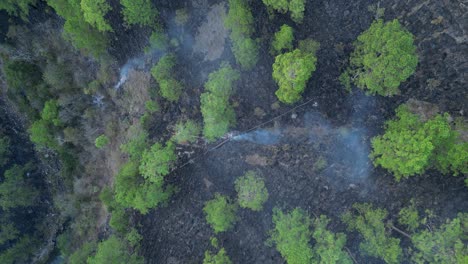 forest fire near river in mountainous area, climate emergency in honduras