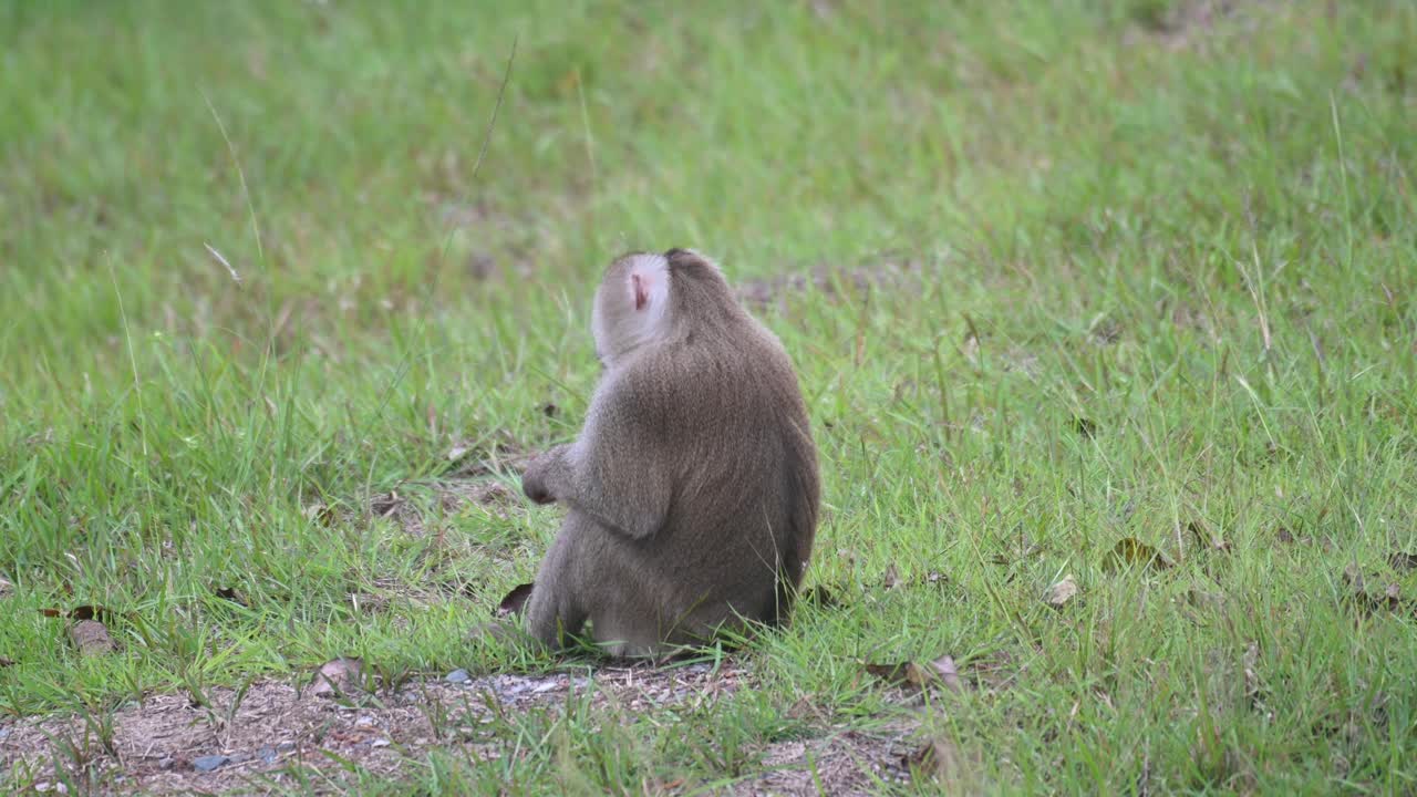 풀밭에 앉아 밥을 먹고 뒤를 돌아보며 장사를 이어간다