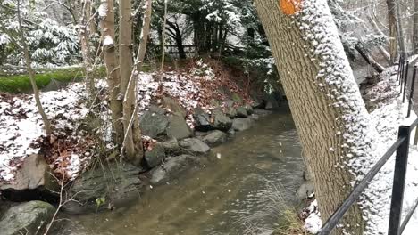 Schneit-Draußen-Am-Fluss-Im-Wald