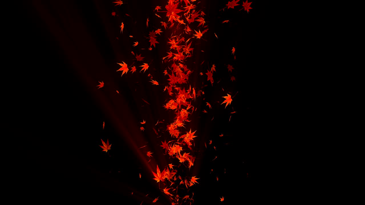 다채로운 메이플과 잎에서 나온 소용돌이, 가을 잎의 나선형 반이는 입자, 춤추는 잎, 다채로운 자연 터널 루프 애니메이션.