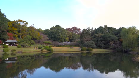 the beautiful shinjuku gyoen japanese garden in tokyo, japan with colorful trees and perfectly shaped plants - panoramic shot