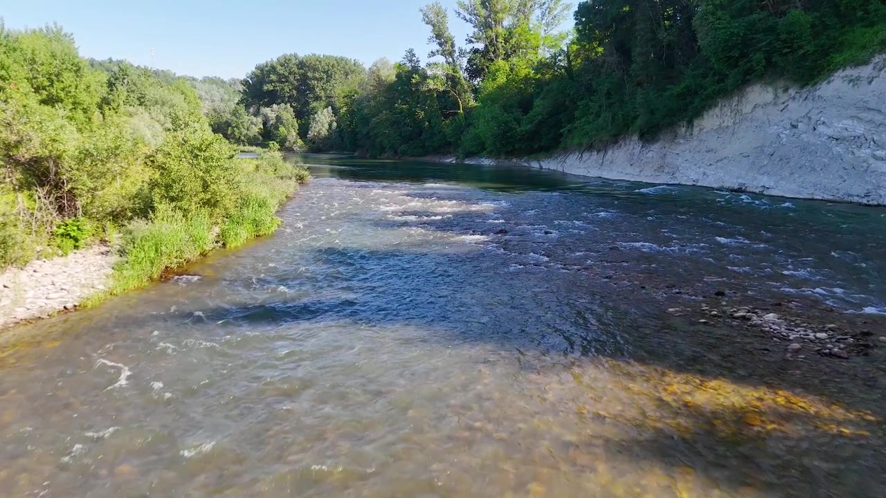 Un fiume che scorre attraverso un paesaggio boschivo lussureggiante