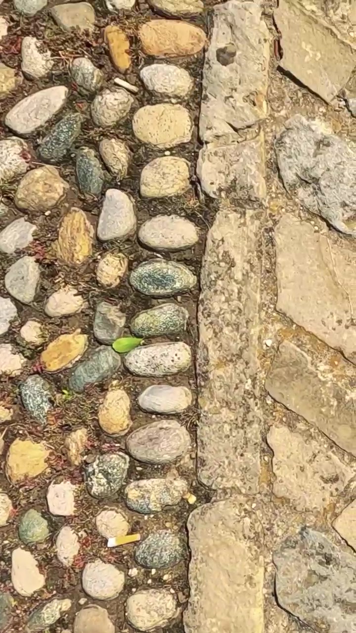 Footsteps on a cobblestone path in Italy
